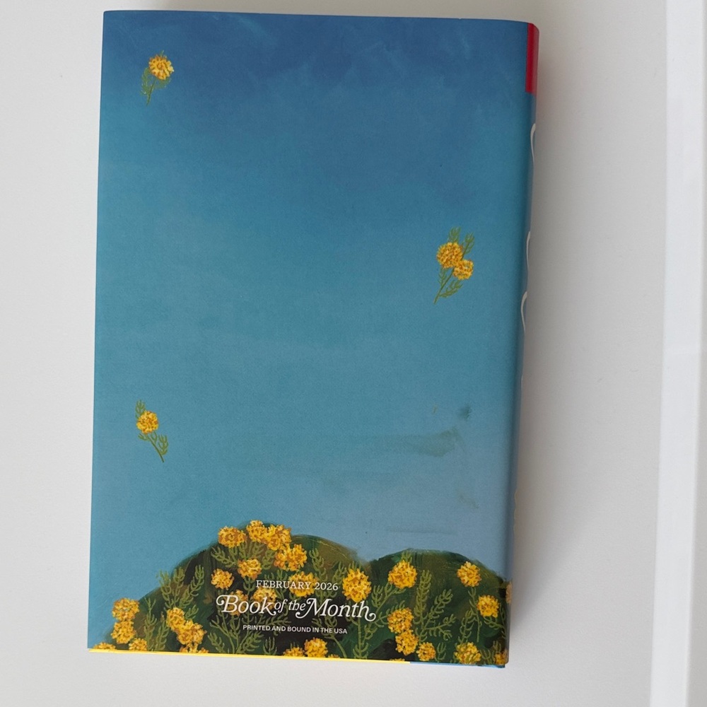 One & Only by Maurene Goo | Book of the Month BOTM - Picture 3 of 5